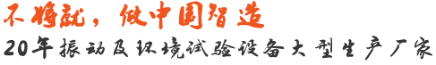 中國(guó)振動(dòng)及環(huán)境試驗(yàn)設(shè)備生產(chǎn)廠(chǎng)家-工業(yè)檢測(cè)設(shè)備一站式解決方案提供商